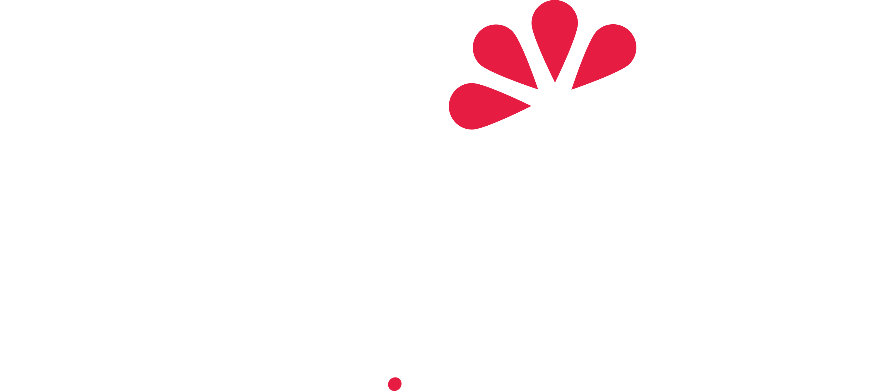 Zakito.Accounting