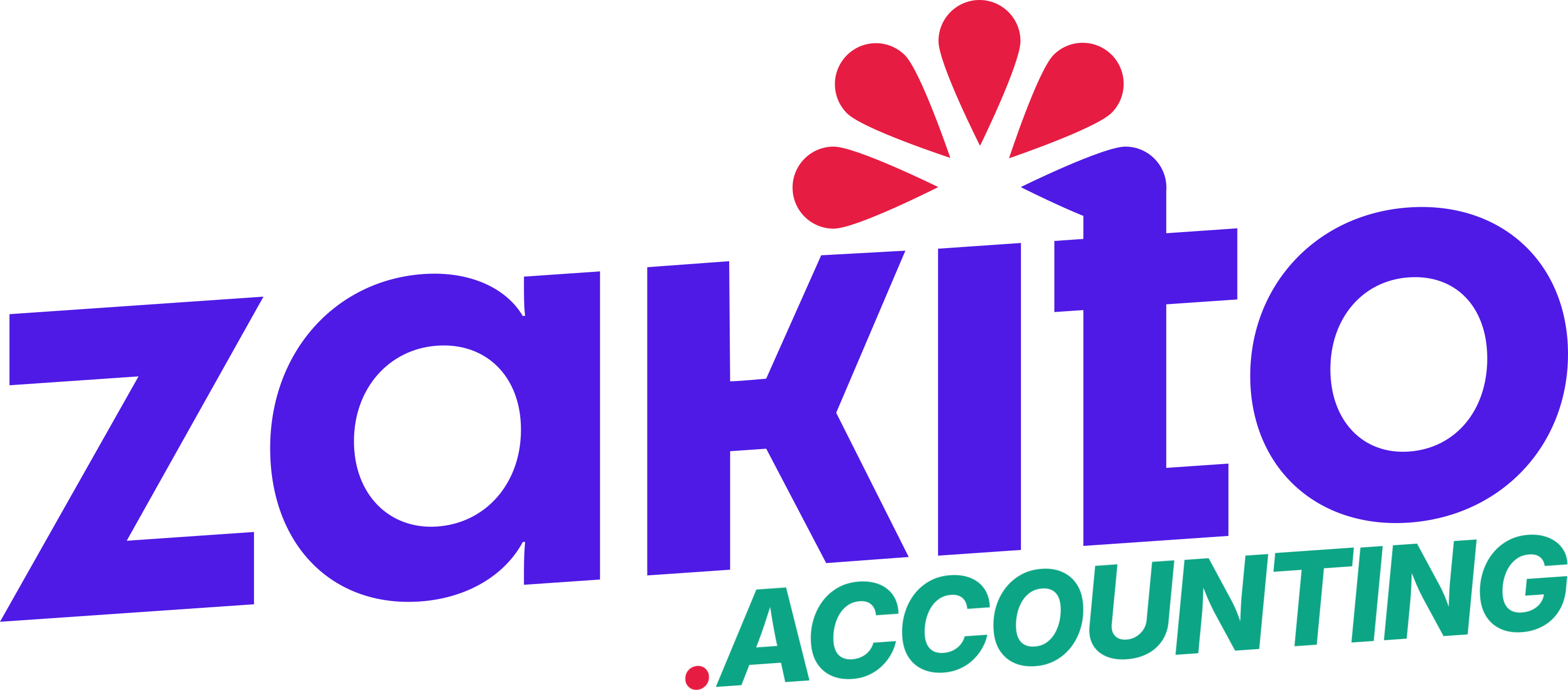 Zakito.Accounting